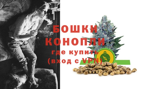гидра Семилуки