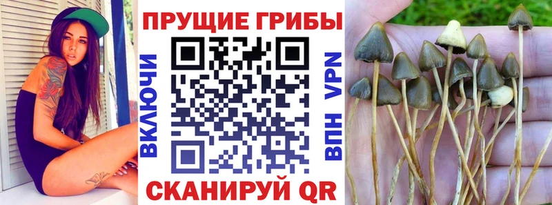 Псилоцибиновые грибы мицелий  дарнет шоп  Чухлома 